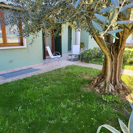 La Casa Sul Parco Apartman Valeggio sul Mincio Kültér fotó